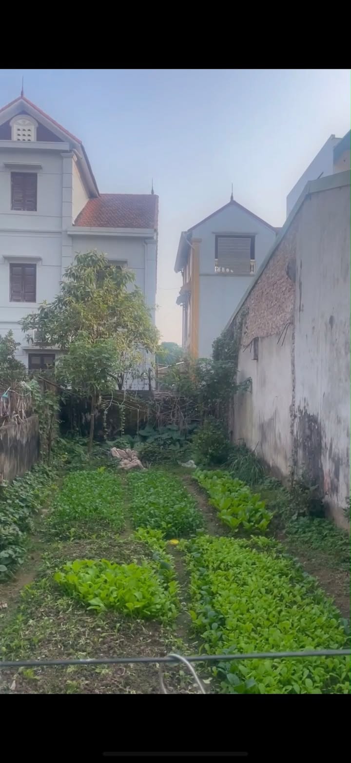 Đất nền Hoàng Xá 50m² giá 2.6 tỷ - Sổ hồng chính chủ, ô tô vào tận nơi!