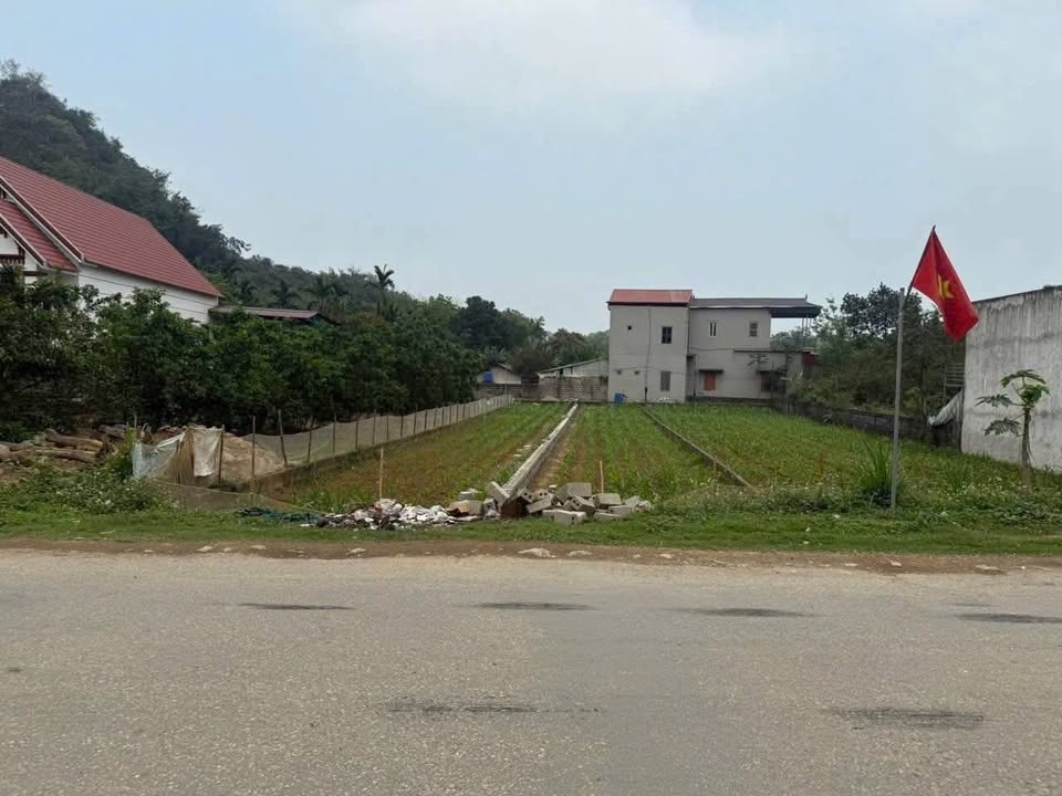 Đất kinh doanh tại Ba Hàng Đồi, Hòa Bình 90m² giá 1.6 tỷ - Đầu tư sinh lời tốt!