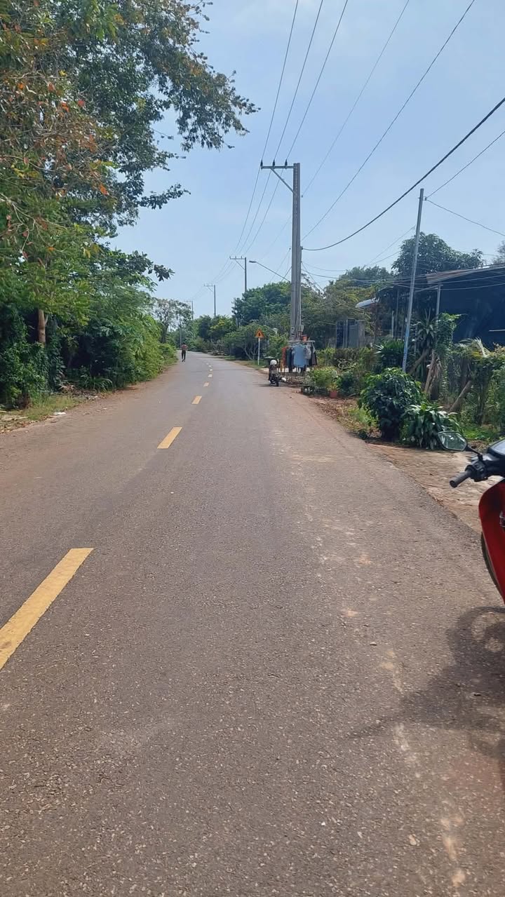 Đất nền Hoà Long 186m² giá 1.95 tỷ - Đầu tư sinh lời ngay!