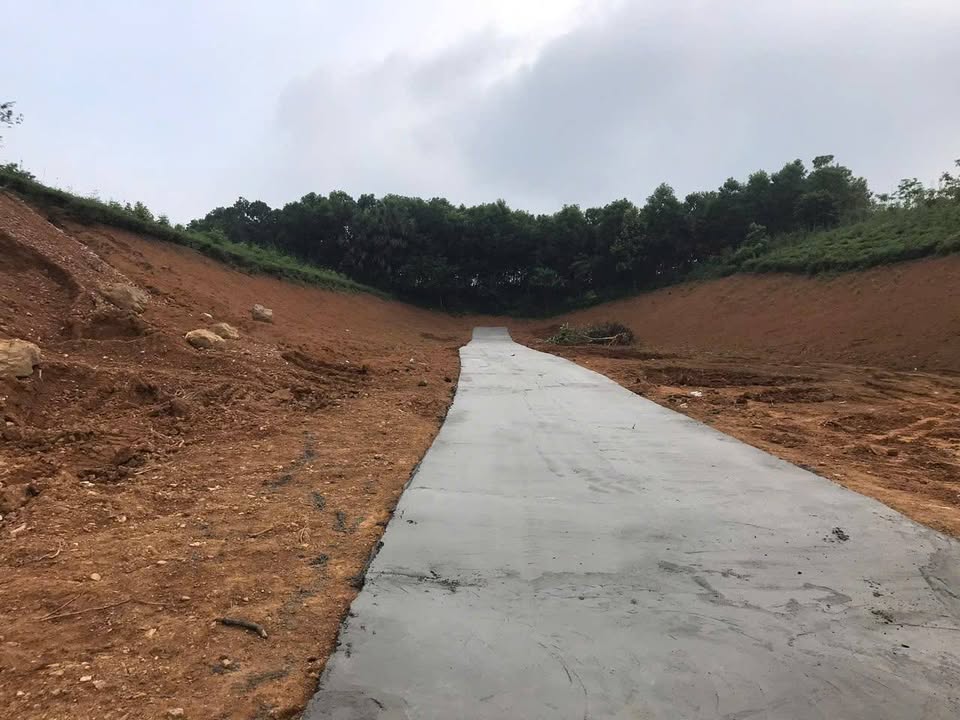 Đất nền Võ Miếu, Thanh Sơn, Phú Thọ 239m² giá chỉ 200 triệu - Sổ đỏ chính chủ!