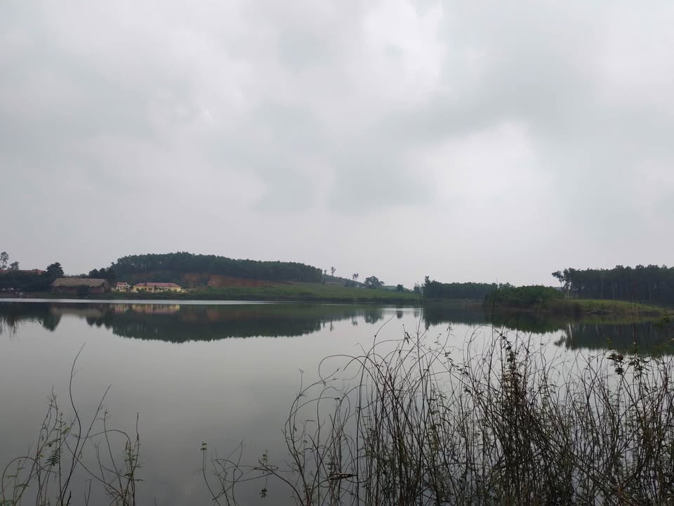 Đất nền Ngọc Phụng Thường Xuân 100m² giá thỏa thuận - View hồ đẹp lý tưởng!