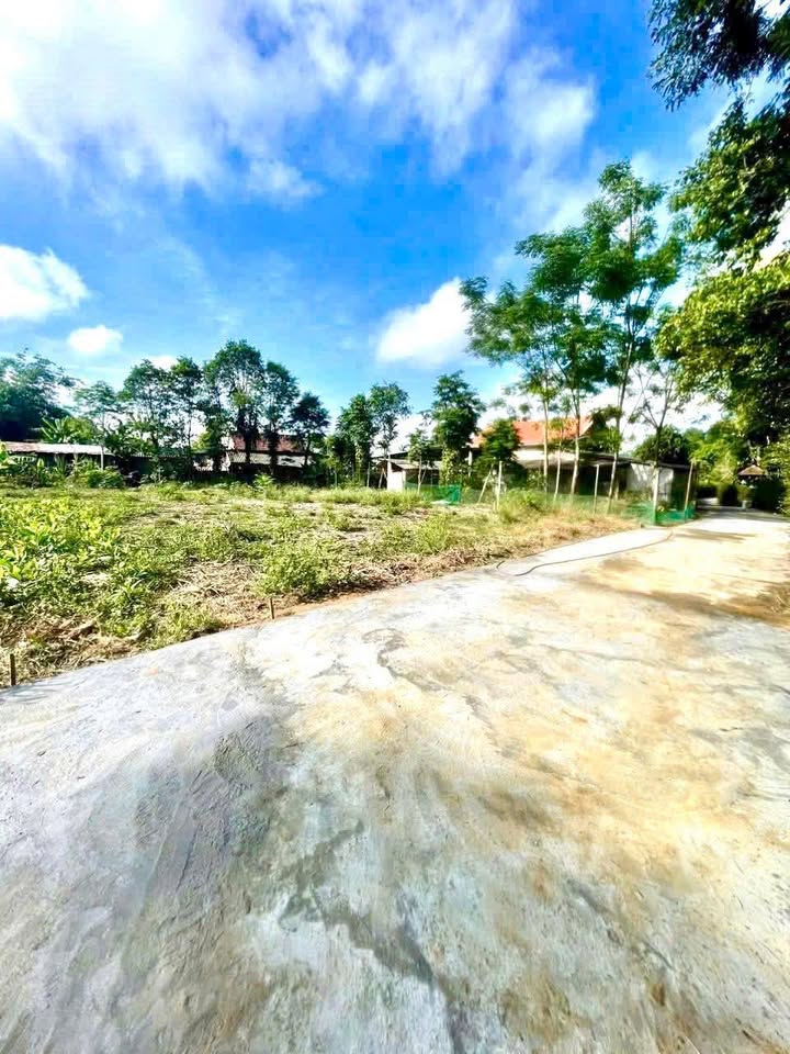 Đất nền Phong An, Phong Điền 150m² giá chỉ 4xx triệu - Đầu tư sinh lời ngay!