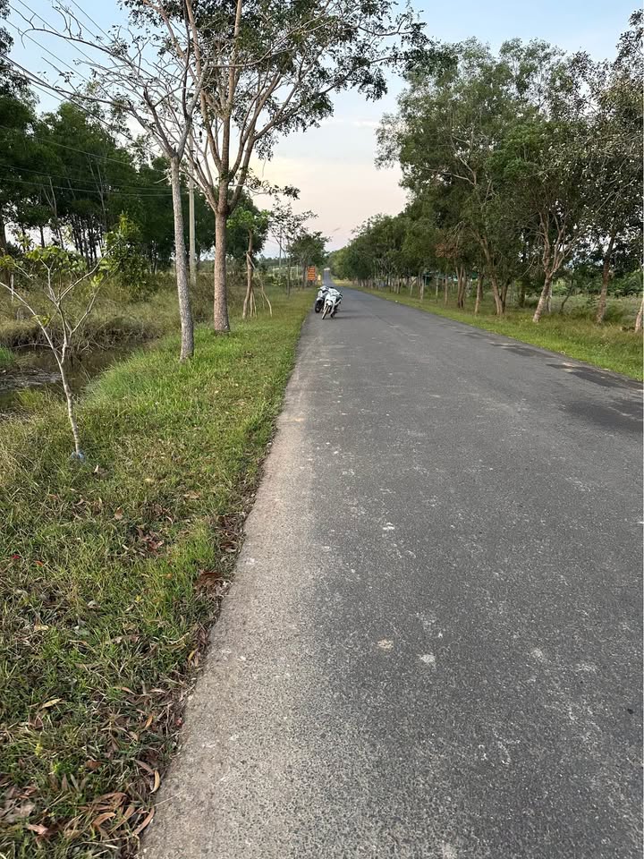 Đất nền 8000m² xã Ea H'Leo, Đắk Lắk - Sổ hồng chính chủ, giá thỏa thuận