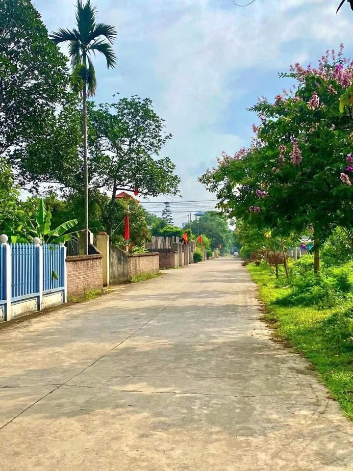 Đất nền Phổ Yên Thái Nguyên 260m² giá 900 triệu - Sổ đỏ trao tay!