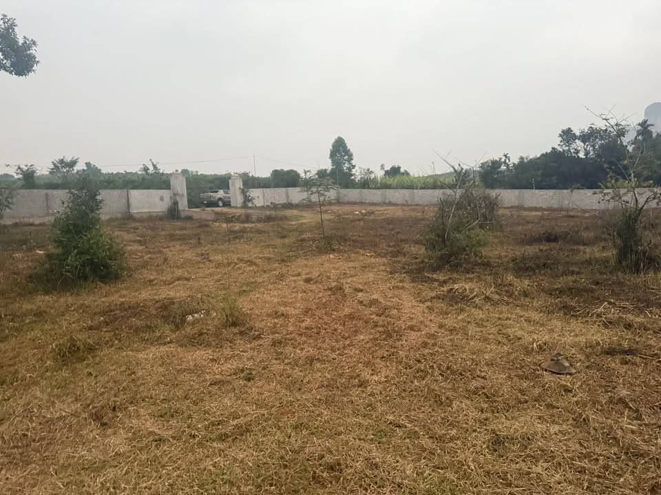 Đất thổ cư 2060m² tại thị trấn Cao Phong giá 2.7 tỷ - Cơ hội đầu tư tuyệt vời!