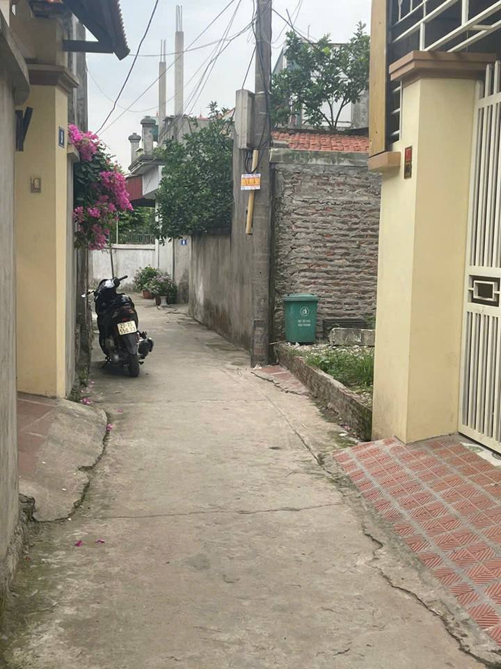 Đất nền Tân Lập Đan Phượng 62,4m² giá chỉ 80 triệu - Đầu tư sinh lời cao!