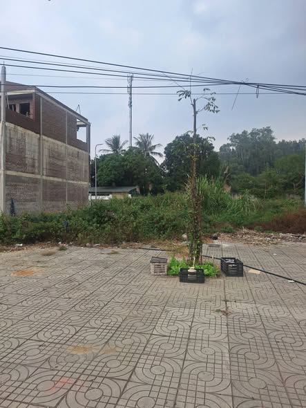 Đất kinh doanh Ngọc Trạo Bỉm Sơn 100m² - Cơ hội đầu tư hấp dẫn!