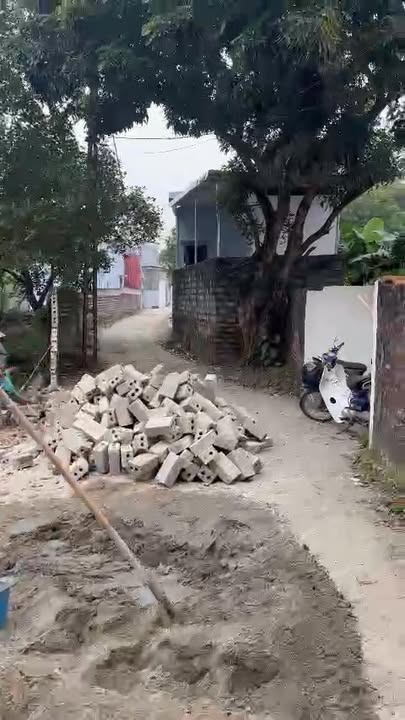 Đất thổ cư 300m² tại Tân Bình - Giá chỉ 1.5 tỷ - Cơ hội đầu tư hấp dẫn!