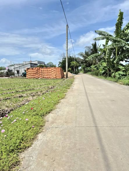 Đất nền mặt tiền Trần Văn Dõng 550m² giá từ 300 triệu - Tiềm năng đầu tư vượt bậc!