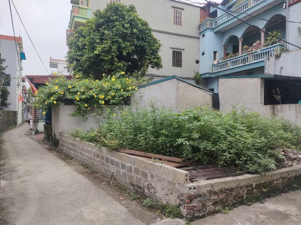 Đất lô góc 2 mặt tiền tại Quất Lâm, Thường Tín 50m² giá 3.55 tỷ - Đầu tư sinh lời ngay!