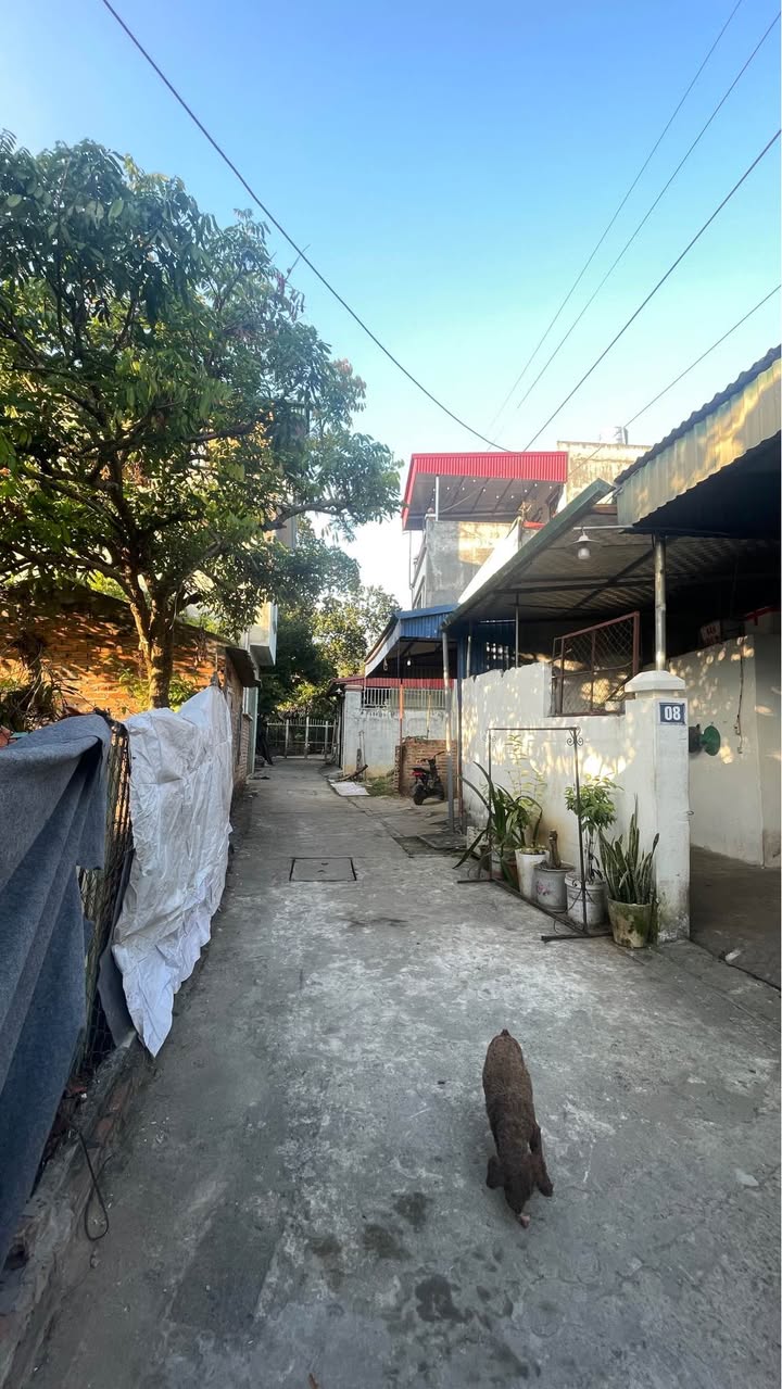 Đất thổ cư Chiềng Sinh, Sơn La 90m² giá 300 triệu - Vị trí đắc địa gần bến xe!