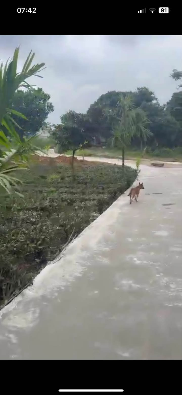 Đất thổ cư Phúc Thuận, Phổ Yên 1800m² giá 4.32 tỷ - Cơ hội đầu tư hấp dẫn!