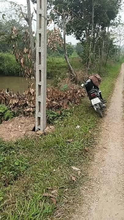 Đất thổ cư Tân Cương, Thái Nguyên 100m² giá 486 triệu - Xây dựng ngay không tốn móng!