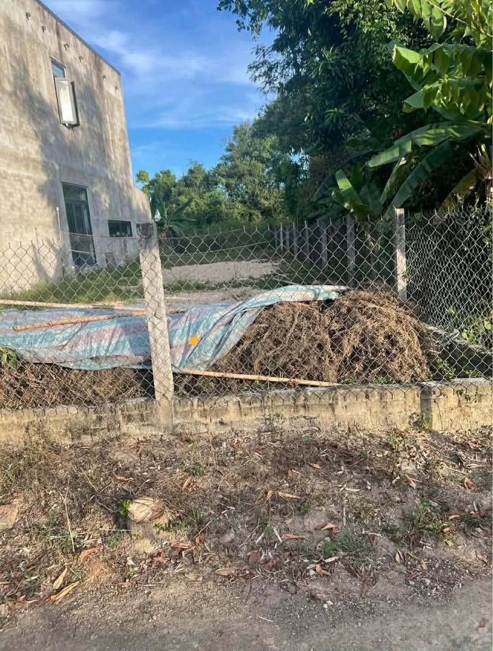 Đất nền đường bê tông tại Điện Nam Đông 105m² giá 1.1 tỷ - Vị trí đẹp, dân cư đông đúc!