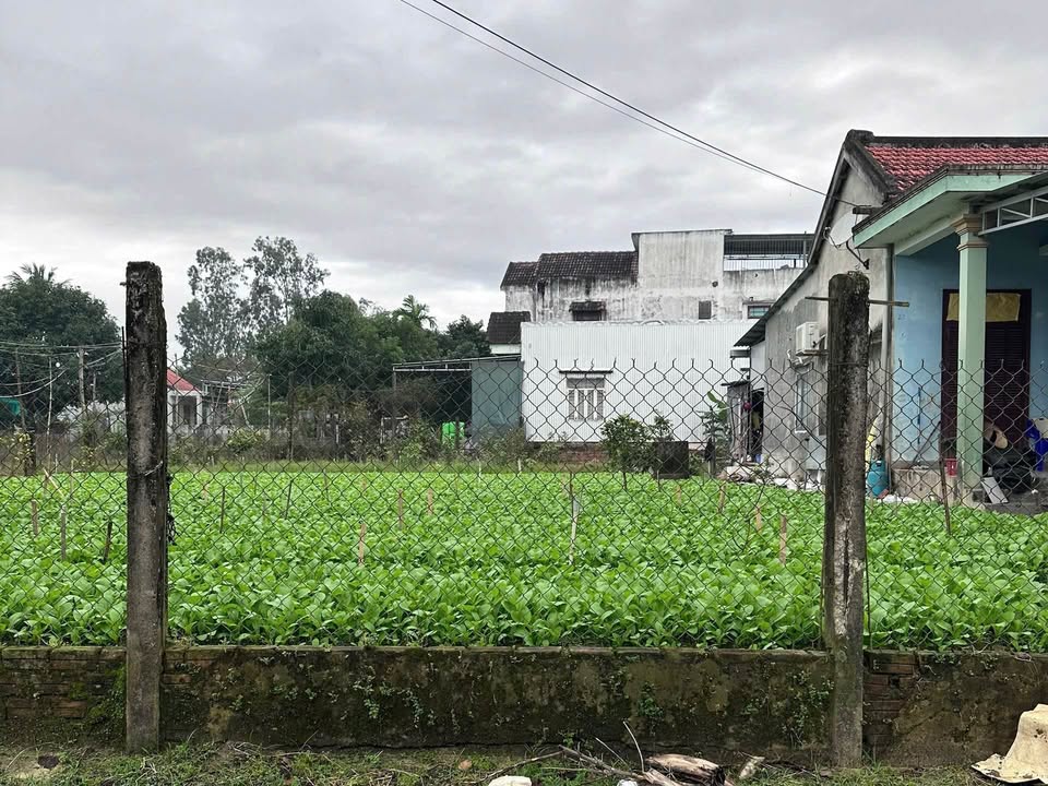 Đất nền Điện Nam Bắc 138m² giá 1.6 tỷ - Đón đầu tiềm năng phát triển!