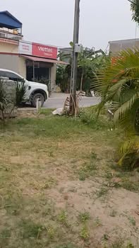 Đất nền đấu giá xã Minh Hoàng, Phù Cừ 75m² chỉ 2,1 tỷ - Kinh doanh sầm uất!