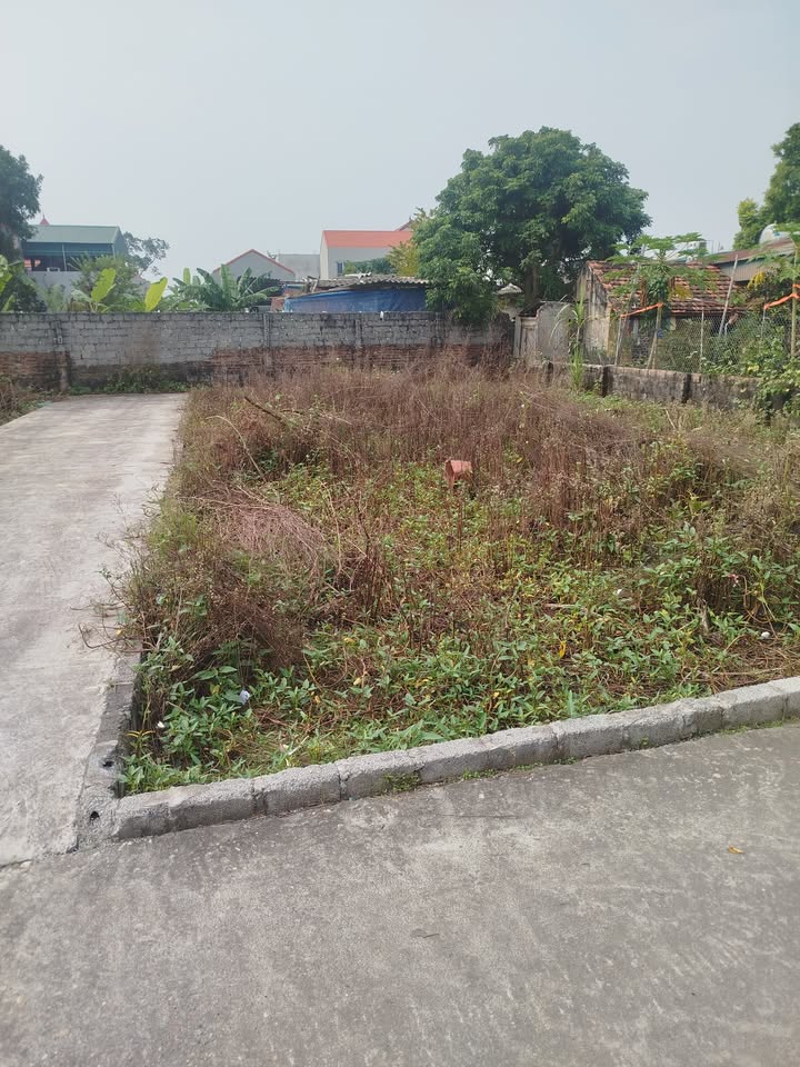 Đất nền Hồng Vân Thường Tín 47m² giá 2.25 tỷ - Lô góc đẹp, quy hoạch hoàn hảo!