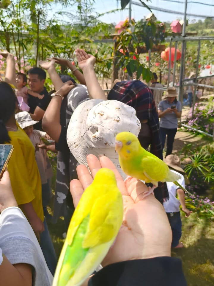 Đất nền mặt tiền tỉnh lộ 2, xã Ea Na, Đắk Lắk - Diện tích 400m² giá chỉ 1.68 tỷ!