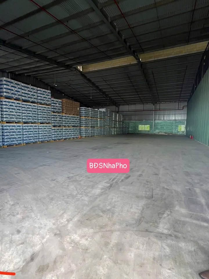 Kho cho thuê tại Thọ Quang, Sơn Trà, Đà Nẵng - Diện tích lớn, an ninh 24/24!