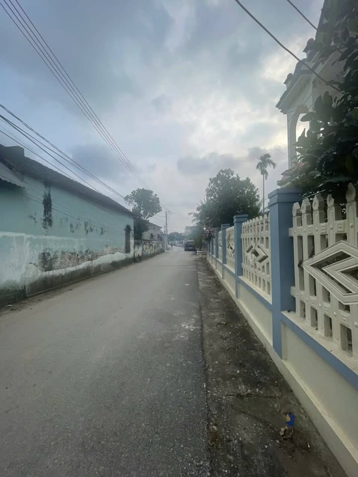 Lô đất 600m² phố Toàn Tâm, Rừng Thông - Giá 4.8 tỷ - Đầu tư sinh lời!