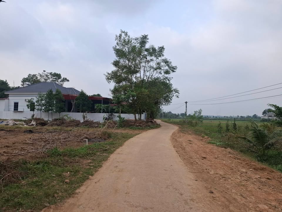 Đất nền thổ cư Thọ Sơn 114m² giá tốt - Đầu tư sinh lời bền vững!