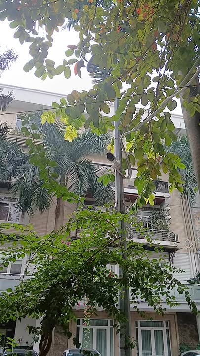 Căn hộ chung cư cao cấp 100m² Liễu Giai, Ba Đình giá 9.6 tỷ - Không gian sống lý tưởng!