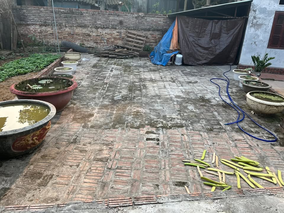 Đất nền Phù Khê Từ Sơn 60m² giá 1 tỷ - Đầu tư sinh lời ngay hôm nay!