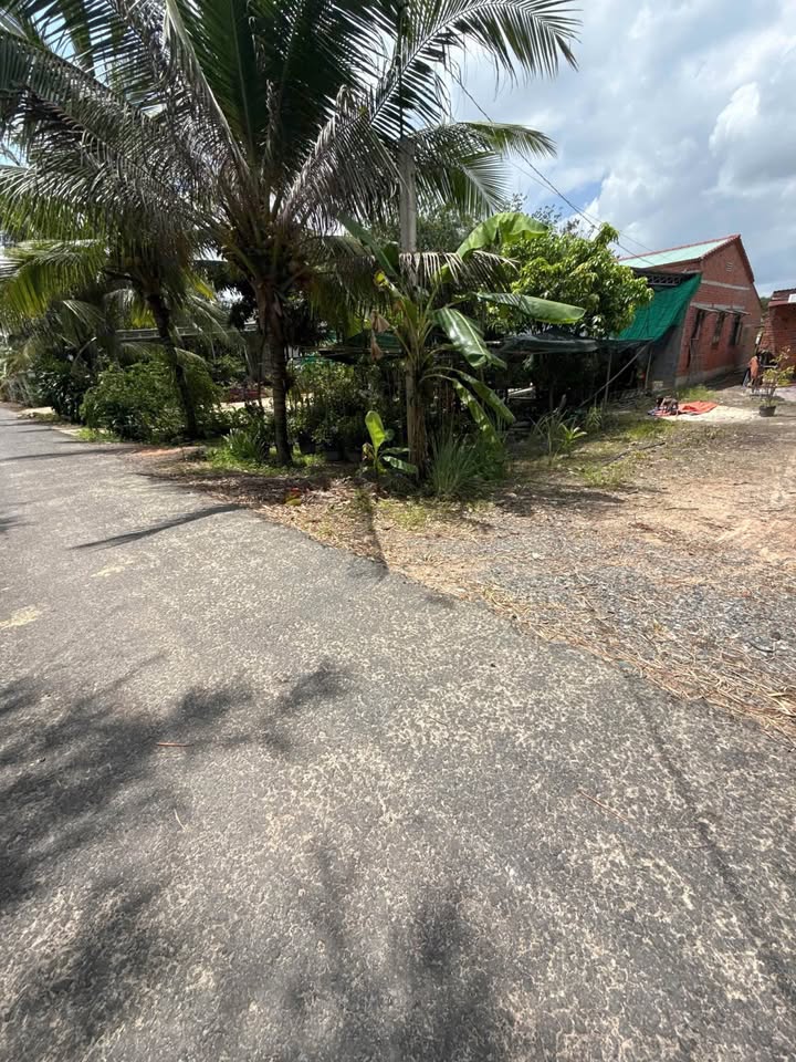 Đất nền Tân Bình, Tân Biên Tây Ninh 896m² - Mặt tiền nhựa, giá tốt thương lượng!