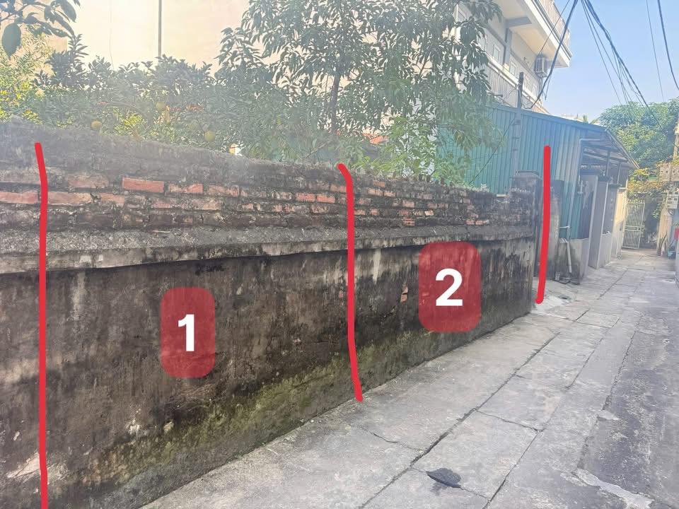 Đất nở hậu Ngũ Hiệp, Thanh Trì 62m² - Giá đầu tư, sổ đỏ chính chủ!