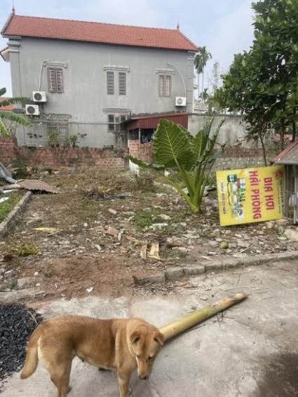 Đất nền Lâm Động, Thuỷ Nguyên 60m² giá 1.4 tỷ - Chỉ cần đến xem là thích!