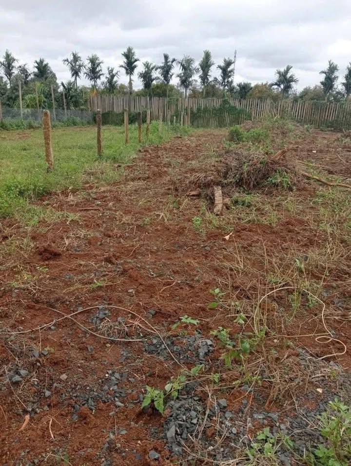 Đất thổ cư Thôn 10 Pơng Drang 287m² giá 1.12 tỷ - Cơ hội đầu tư tuyệt vời!