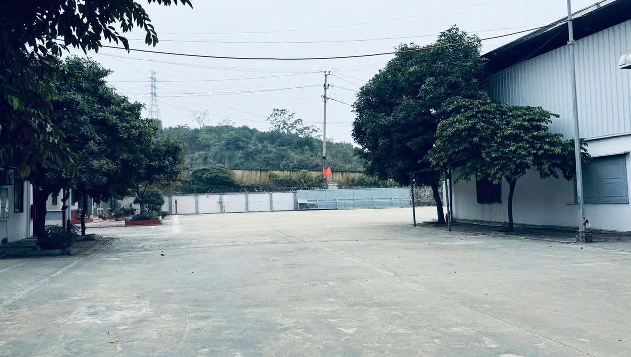 Kho xưởng cho thuê 1.200m² tại Hòa Sơn, Hòa Bình - Giá chỉ 66 triệu/tháng!