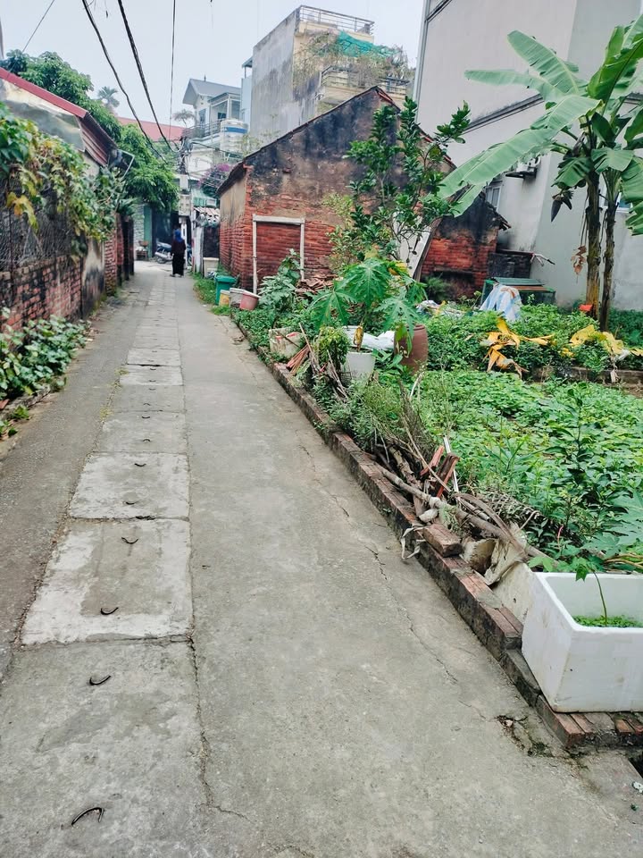 Đất nền An Thượng Hoài Đức 45m² - Đầu tư tiềm năng, giá thỏa thuận!