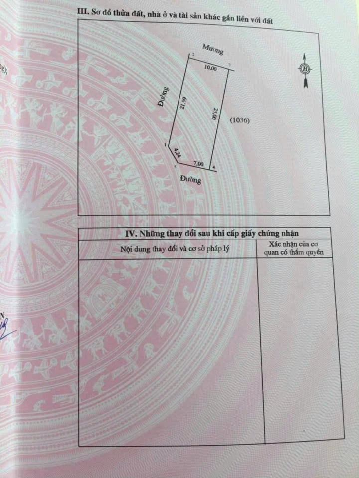 Đất nền Hưng Thông, Hưng Nguyên 245.5m² giá 3 tỷ - Cơ hội đầu tư hấp dẫn!