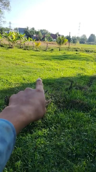 Đất nền 559m² tại xã Hưng Thuận, Trảng Bàng - Cơ hội đầu tư hấp dẫn!