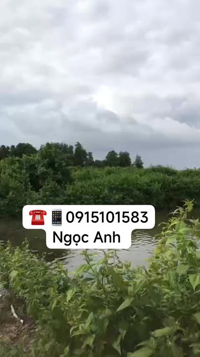 Đất nền Đất Mũi, Ngọc Hiển 55 công giá 4 tỷ - Cơ hội đầu tư sinh lời!