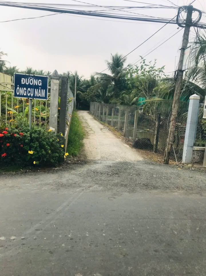 Đất nền chính chủ Gò Công Tây 443m² giá 800 triệu - Đầu tư sinh lời cao!