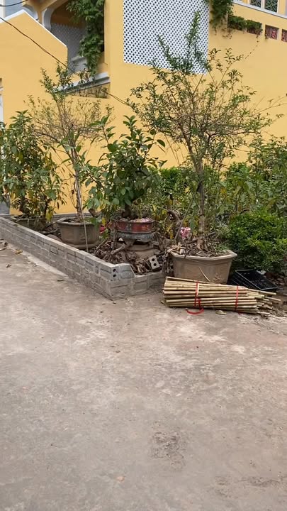 Đất thổ cư 102,9m² Đan Kim, Văn Giang - Vị trí đắc địa, giá thỏa thuận!