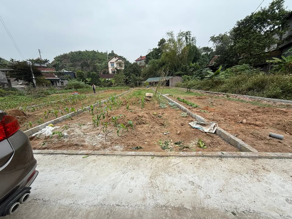 Đất nền Thị trấn Thanh Thủy 135m² giá 1 tỷ - View hồ điều hòa tuyệt đẹp!