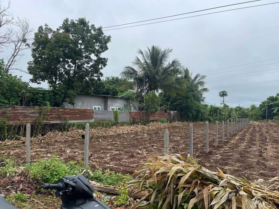 Đất nền Quảng Phú, Cư M'gar 470m² giá 1.45 tỷ - Hướng Đông, cơ hội đầu tư tuyệt vời!