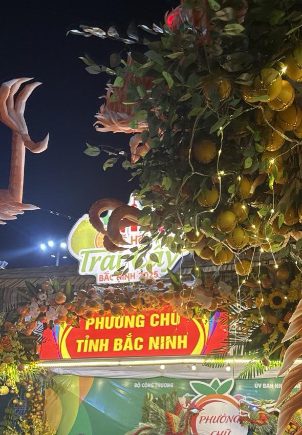 Đất thổ cư 70m² tại Thanh Hải, Lục Ngạn - Giá chỉ vài trăm triệu!