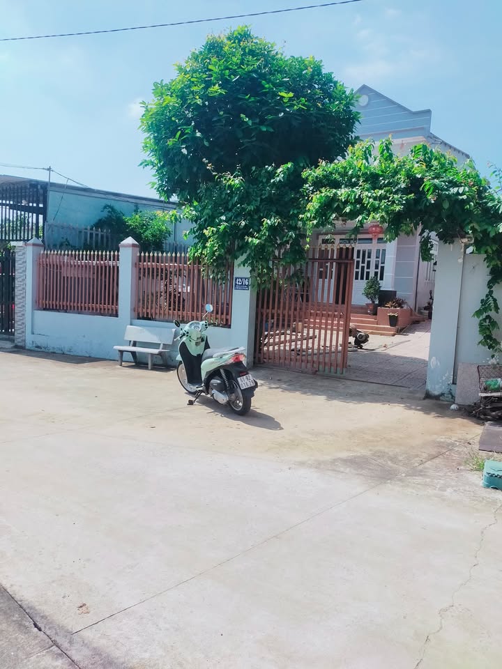 Đất nền Tương Bình Hiệp Thủ Dầu Một 402m² giá 4 tỷ - Đầu tư sinh lời ngay!