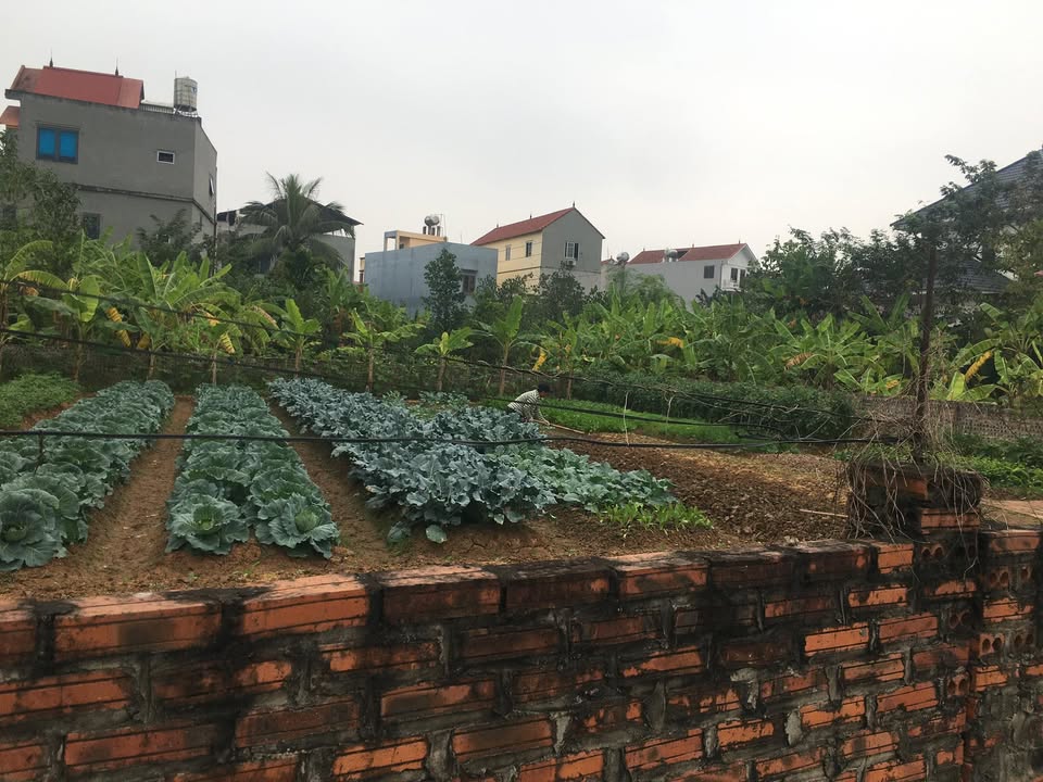 Đất nền Thanh Lâm Mê Linh 200m² giá thỏa thuận - Sổ đỏ chính chủ, giao dịch ngay!