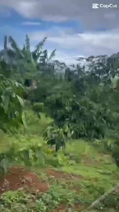 Đất thổ cư Cư Bao, Buôn Hồ 2860m² giá 1.3 tỷ - View đập tuyệt đẹp!