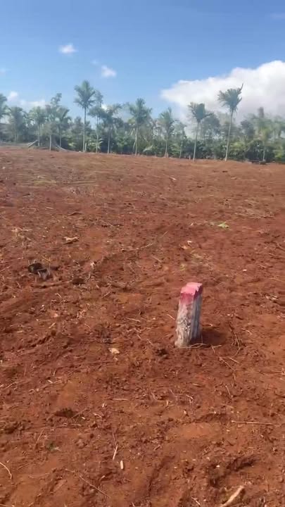 Đất thổ cư tại Cư Bao, Buôn Hồ 250m² giá 1.375 tỷ - Cơ hội đầu tư hiếm có!