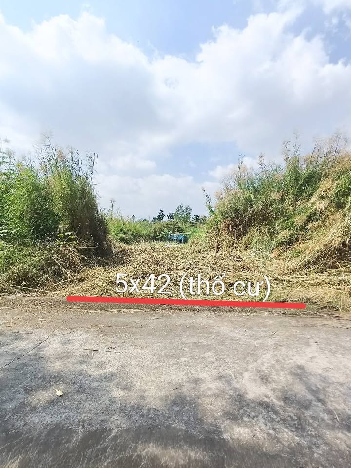 Đất thổ cư Nhơn Thạnh Trung Tân An 210m² giá 800 triệu - Đường ô tô vào tận nơi!