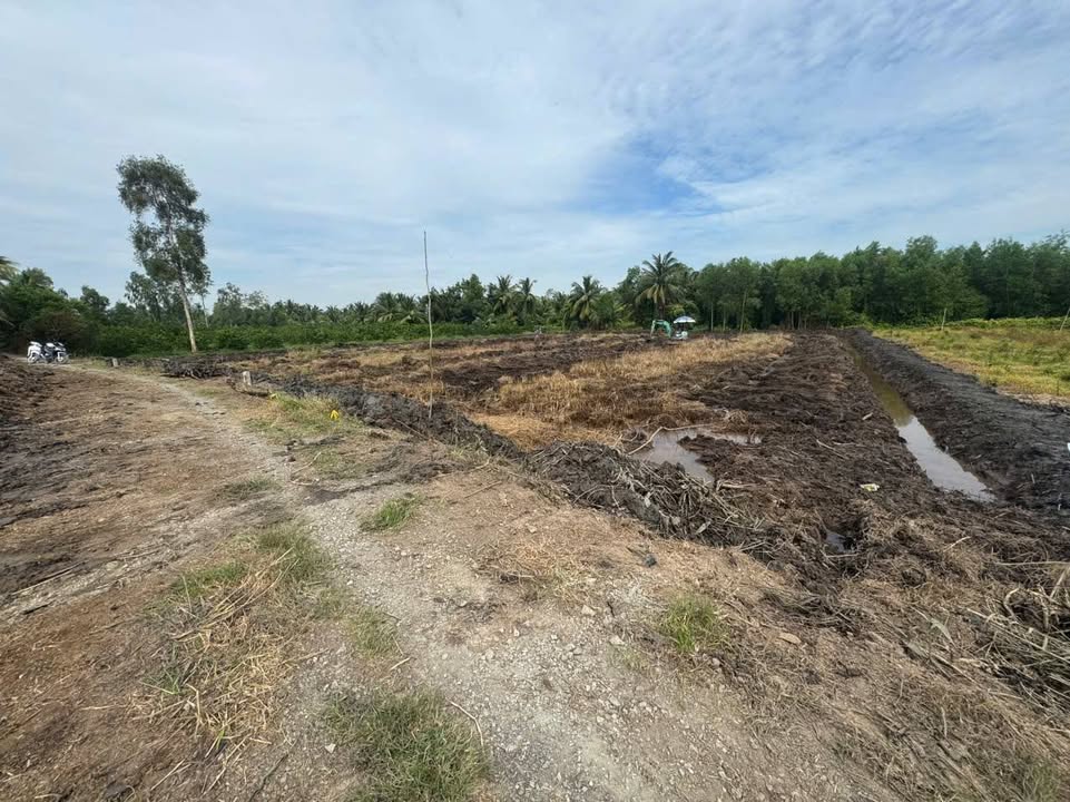 Đất nền 3037m² xã Lương Bình, Bến Lức - Giá chỉ 799 triệu!