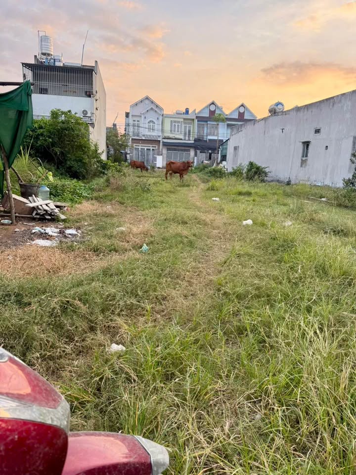 Đất thổ cư xã Mỹ Hạnh Nam, Đức Hòa 100m² giá 1.28 tỷ - Sổ hồng riêng chính chủ!