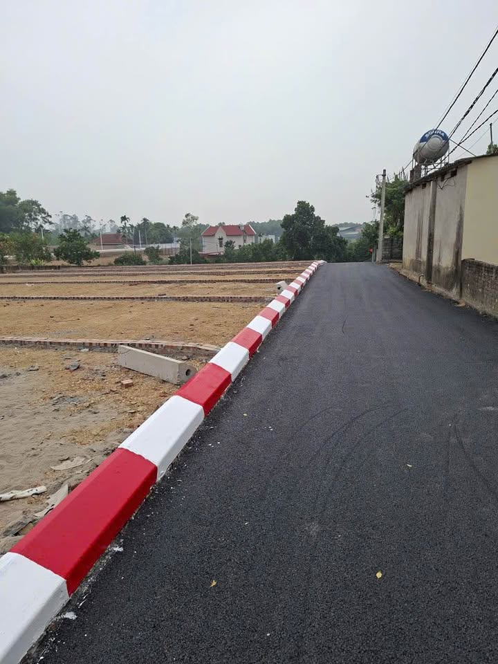 Đất thổ cư Cẩm An, Ba Vì 100m² giá chỉ 800 triệu - Cơ hội đầu tư hấp dẫn!