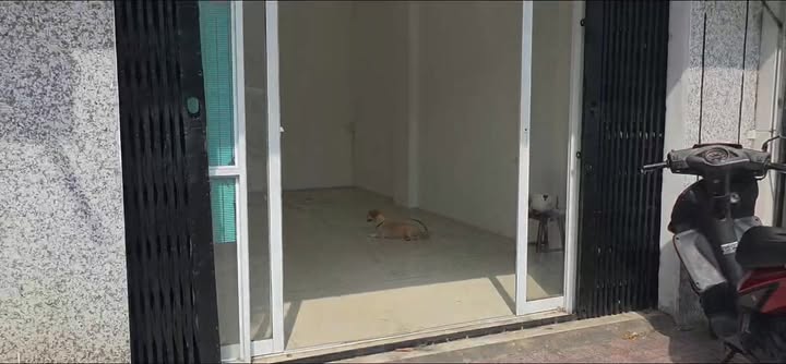 Nhà nguyên căn 2 phòng ngủ tại 163 Hồ Văn Huê, Phú Nhuận - Khu vực sầm uất, tiện kinh doanh!